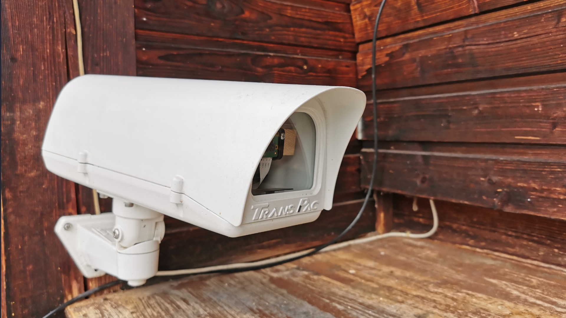 Bee webcam for observing bees at the entrance and at the apiary
